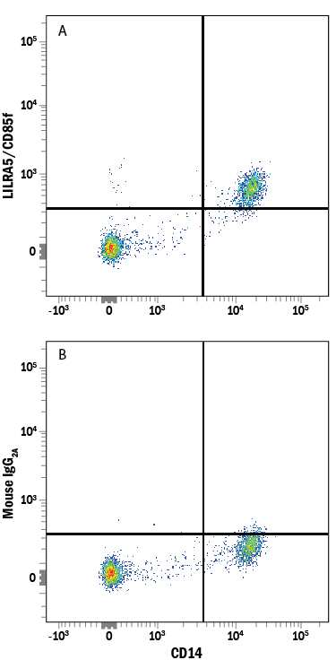 Human peripheral blood mononuclear cells (PBMCs) gated on monocytes were stained with Mouse Anti-Human CD14 APC-conjugated Monoclonal Antibody (Catalog # FAB3832A) and either (A) Mouse Anti-Human LILRA5/CD85f Alexa Fluor® 594-conjugated Monoclonal Antibody (Catalog # FAB6754T) or (B) Mouse IgG2AAlexa Fluor 594 Isotype Control (Catalog # IC003T). View our protocol for Staining Membrane-associated Proteins.