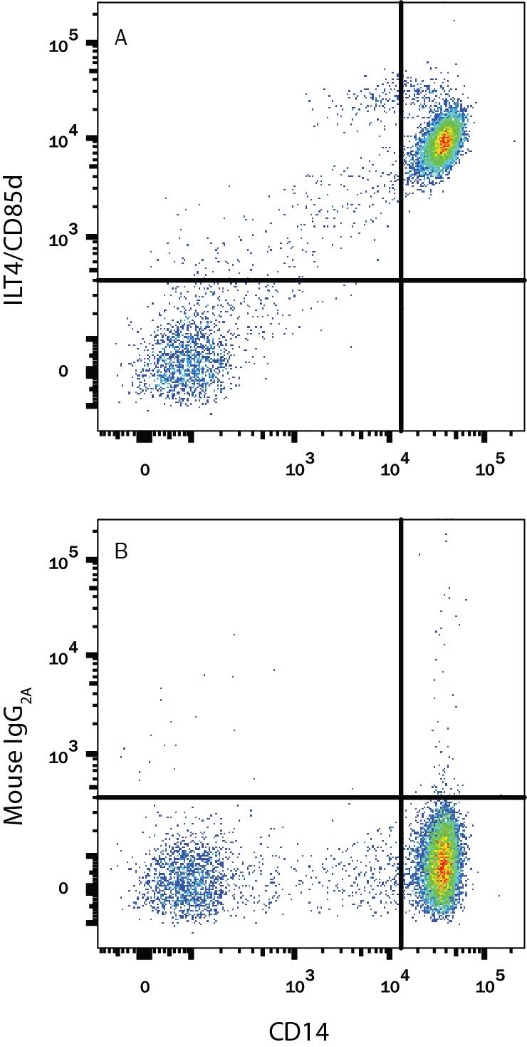 Human peripheral blood mononuclear cells (PBMCs) were stained with Mouse Anti-Human CD14 PE-conjugated Monoclonal Antibody (Catalog # FAB3832P) and either (A) Mouse Anti-Human LILRB2/CD85d/ILT4 APC-conjugated Monoclonal Antibody (Catalog # FAB2078A) or (B) Mouse IgG2AAllophycocyanin Isotype Control (Catalog # IC003A). View our protocol for Staining Membrane-associated Proteins.