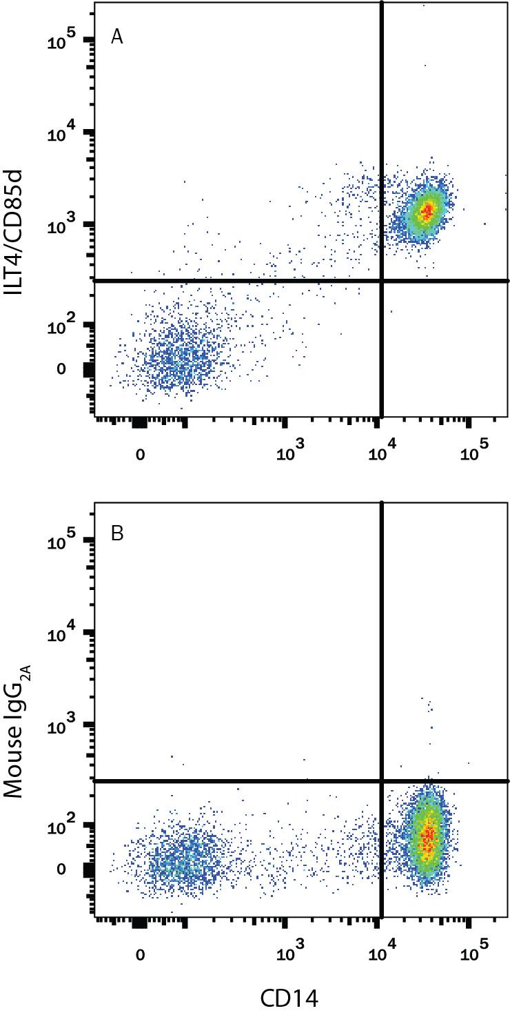 Human peripheral blood mononuclear cells (PBMCs) were stained with Mouse Anti-Human CD14 PE-conjugated Monoclonal Antibody (Catalog # FAB3832P) and either (A) Mouse Anti-Human LILRB2/CD85d/ILT4 Alexa Fluor® 700-conjugated Monoclonal Antibody (Catalog # FAB2078N) or (B) Mouse IgG2AAlexa Fluor 700 Isotype Control (Catalog # IC003N). View our protocol for Staining Membrane-associated Proteins.