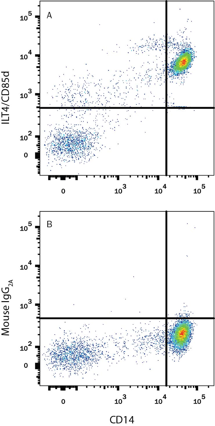 Human peripheral blood mononuclear cells (PBMCs) were stained with Mouse Anti-Human CD14 APC-conjugated Monoclonal Antibody (Catalog # FAB3832A) and either (A) Mouse Anti-Human LILRB2/CD85d/ILT4 PE-conjugated Monoclonal Antibody (Catalog # FAB2078P) or (B) Mouse IgG2APhycoerythrin Isotype Control (Catalog # IC003P). View our protocol for Staining Membrane-associated Proteins.