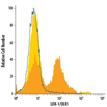 THP-1 human acute monocytic leukemia cell line either untreated (light orange filled histogram) or treated with 50 ng/mL PMA for 3 days (dark orange filled histogram) was stained with Mouse Anti-Human LOX-1/OLR1 Alexa Fluor® 488-conjugated Monoclonal Antibody (Catalog # FAB1798G) or isotype control antibody (Catalog # IC0041G, open histogram). View our protocol for Staining Membrane-associated Proteins.