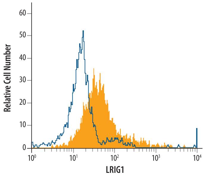 LNCaP human prostate cancer cell line was stained with Sheep Anti-Human LRIG1 Antigen Affinity-purified Polyclonal Antibody (Catalog # AF7498, filled histogram) or control antibody (Catalog #5‑001‑A, open histogram), followed by Allophycocyanin-conjugated Anti-Sheep IgG Secondary Antibody (Catalog # F0127).