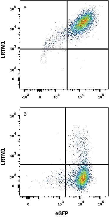 Flow Cytometry LRTM1 Antibody (2381D) [Unconjugated]