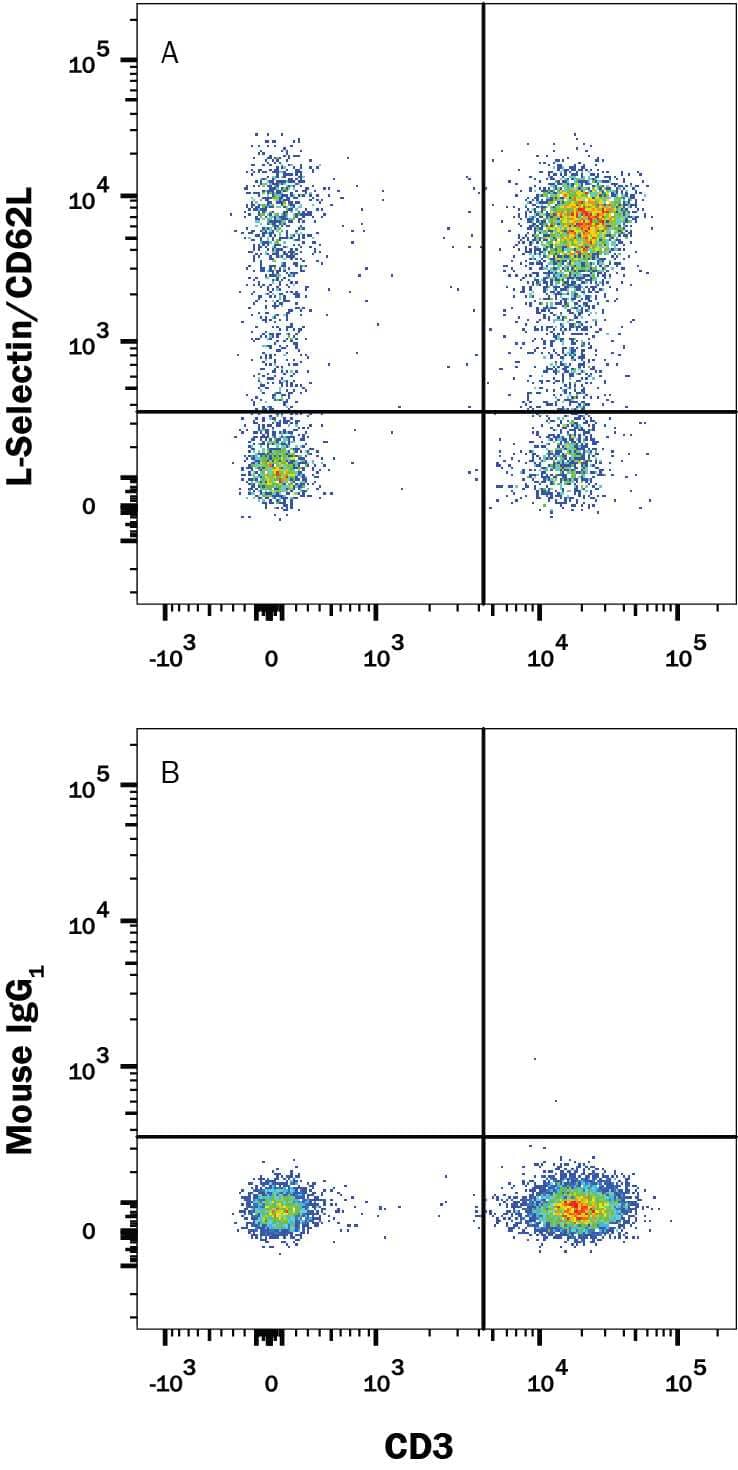 Human peripheral blood mononuclear cells (PBMCs) were stained with Mouse Anti-Human CD3 epsilon APC-conjugated Monoclonal Antibody (Catalog # FAB100A) and either (A) Mouse Anti-Human L-Selectin/CD62L Alexa Fluor® 488-conjugated Monoclonal Antibody (Catalog # FAB9787G) or (B) Mouse IgG1 Alexa Fluor® 488 Isotype Control (Catalog # IC002G). View our protocol for Staining Membrane-associated Proteins.