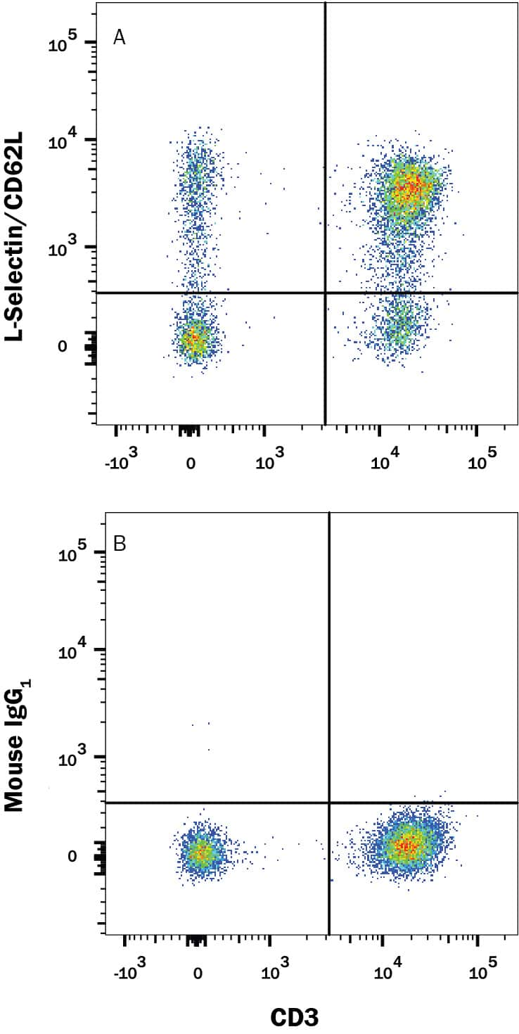 Human peripheral blood mononuclear cells (PBMCs) were stained with Mouse Anti-Human CD3 epsilon APC-conjugated Monoclonal Antibody (Catalog # FAB100A) and either (A) Mouse Anti-Human L-Selectin/CD62L Alexa Fluor® 594-conjugated Monoclonal Antibody (Catalog # FAB9787T) or (B) Mouse IgG1 Alexa Fluor® 594 Isotype Control (Catalog # IC002T). View our protocol for Staining Membrane-associated Proteins.