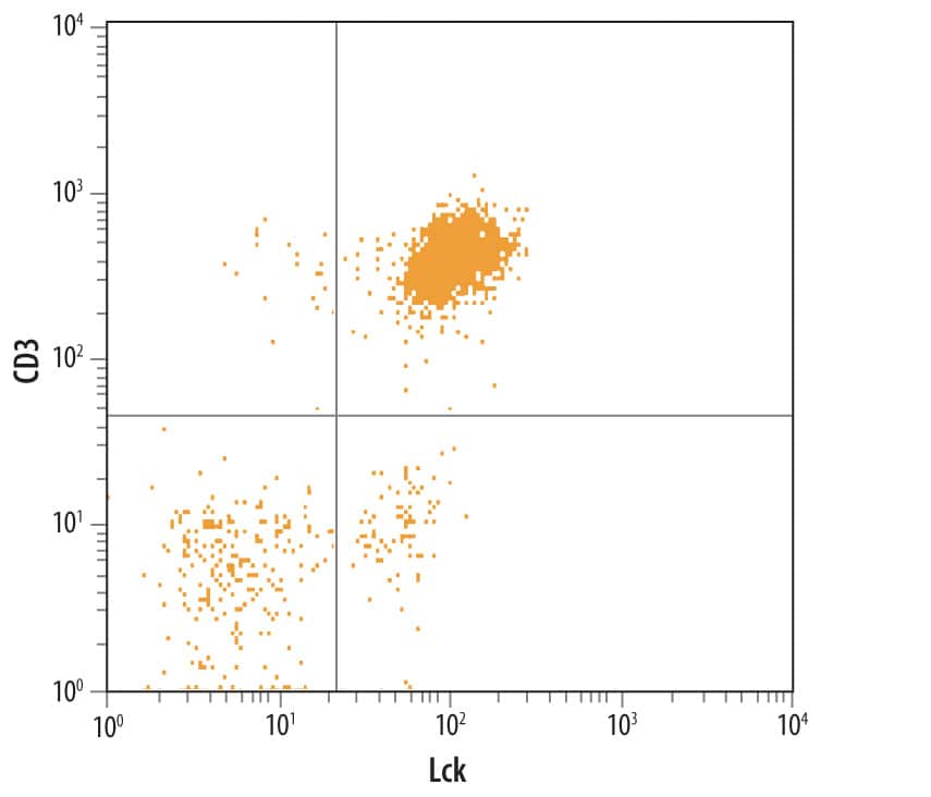 Human peripheral blood lymphocytes were stained with Mouse Anti-Human Lck Monoclonal Antibody (Catalog # MAB37041) followed by Phycoery­thrin-conjugated Anti-Mouse IgG Secondary Antibody (Catalog # F0102B) and Mouse Anti-Human CD3 epsilon  APC‑conjugated Monoclonal Antibody (Catalog # FAB100A). Quadrant markers were set based on control antibody staining (Catalog # MAB003).