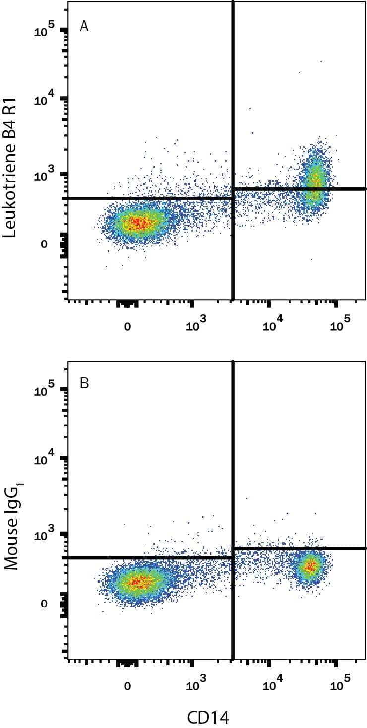 Human peripheral blood monocytes were stained with Mouse Anti-Human CD14 PE-conjugated Monoclonal Antibody (Catalog # FAB3832P) and either (A) Mouse Anti-Human Leukotriene B4 R1 Alexa Fluor® 405-conjugated Monoclonal Antibody (Catalog # FAB099V) or (B) Mouse IgG1 Alexa Fluor® 405 Isotype Control (Catalog # IC002V). View our protocol for Staining Membrane-associated Proteins.