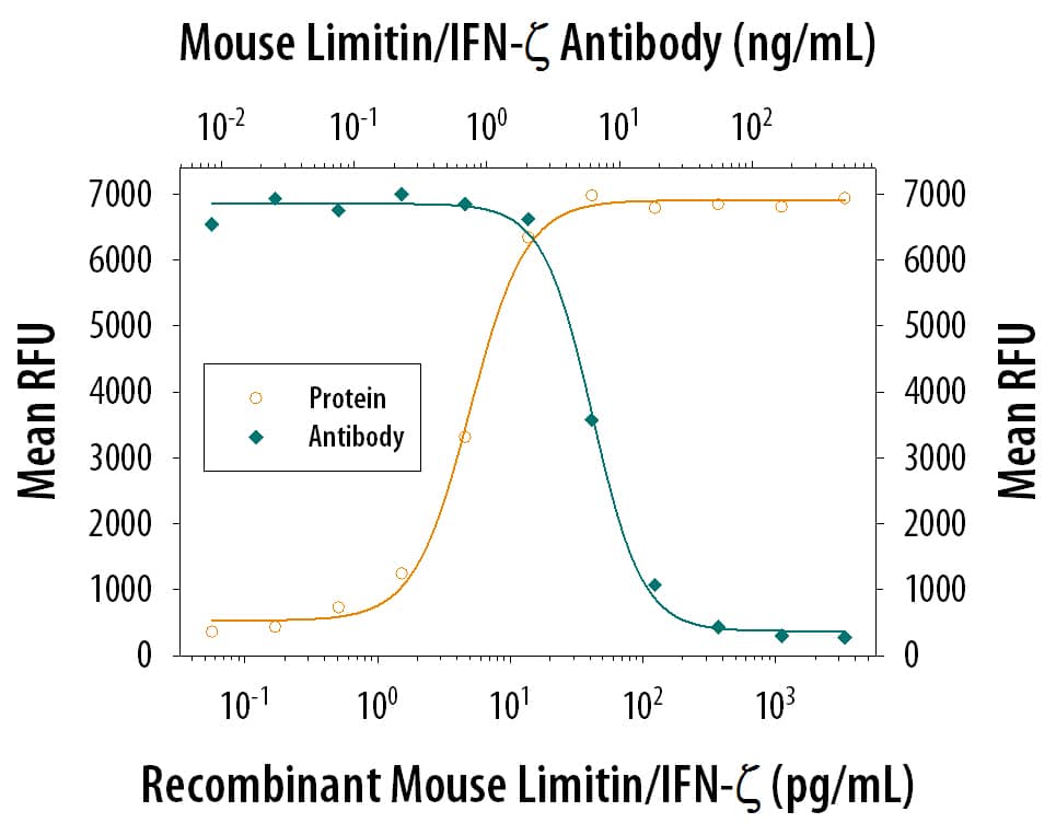 Recombinant Mouse Limitin (Catalog # 1535-LM) reduces the Encephalomyocarditis Virus (EMCV)-induced cytopathy in the L‑929 mouse fibroblast cell line in a dose-dependent manner (orange line), as measured by Resazurin (Catalog # AR002). Inhibition of EMCV activity elicited by Recombinant Mouse Limitin (30 pg/mL) is neutralized (green line) by increasing concentrations of Goat Anti-Mouse Limitin Antigen Affinity-purified Polyclonal Antibody (Catalog # AF597). The ND50 is typically 1.5-7.5 ng/mL.