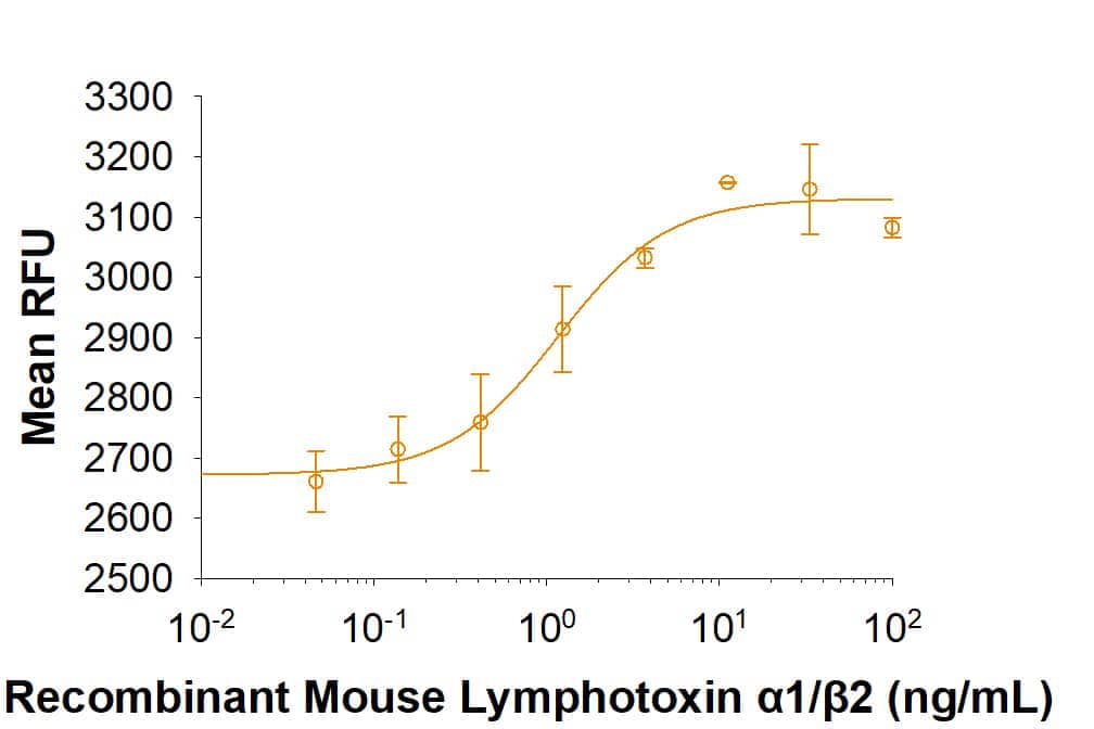 Recombinant Mouse Lymphotoxin  alpha 1/ beta 2 (Catalog # 9968-LY/CF)induces NIH‑3T3 mouse embryonic fibroblast cell proliferation. TheED50 for this effect is 0.3-2.1 ng/mL.