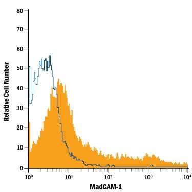 HeLa human cervical epithelial carcinoma cell line was stained with Mouse Anti-Human MAdCAM-1 APC-conjugated Monoclonal Antibody (Catalog # FAB6056A, filled histogram) or isotype control antibody (Catalog # IC002A, open histogram). View our protocol for Staining Membrane-associated Proteins.