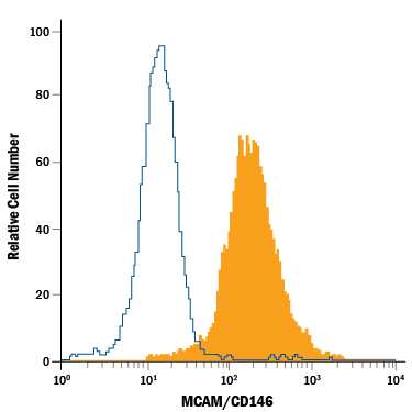 HeLa human cervical epithelial carcinoma cell line was stained with Mouse Anti-Human MCAM/CD146 PerCP-conjugated Monoclonal Antibody (Catalog # FAB932C, filled histogram) or isotype control antibody (Catalog # IC002C, open histogram). View our protocol for Staining Membrane-associated Proteins.