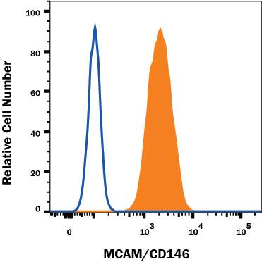 HeLa human cervical epithelial carcinoma cell line was stained with Mouse Anti-Human MCAM/CD146 Alexa Fluor® 488-conjugated Monoclonal Antibody (Catalog # FAB932G, filled histogram) or isotype control antibody (Catalog # IC002G, open histogram). View our protocol for Staining Membrane-associated Proteins.