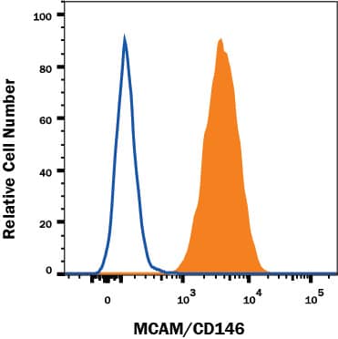 HeLa human cervical epithelial carcinoma cell line was stained with Mouse Anti-Human MCAM/CD146 Alexa Fluor® 700-conjugated Monoclonal Antibody (Catalog # FAB932N, filled histogram) or isotype control antibody (Catalog # IC002N, open histogram). View our protocol for Staining Membrane-associated Proteins.