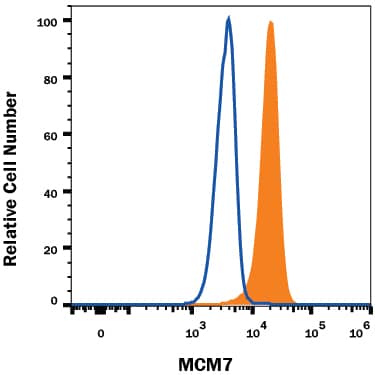 HeLa human cervical epithelial carcinoma cell line was stained with Rabbit Anti-Human MCM7 Monoclonal Antibody (Catalog # MAB9217, filled histogram) or isotype control antibody (Catalog # AB-105-C, open histogram), followed by Allophycocyanin-conjugated Anti-Rabbit IgG Secondary Antibody (Catalog # F0111). To facilitate intracellular staining, cells were fixed and permeabilized with FlowX FoxP3 Fixation & Permeabilization Buffer Kit (Catalog # FC012). View our protocol for Staining Intracellular Molecules.