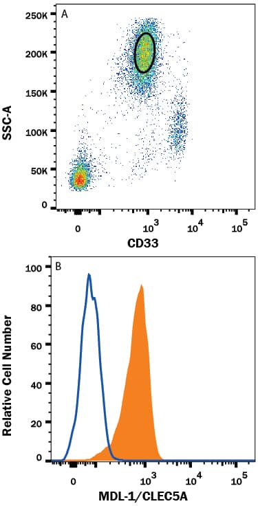 Human peripheral blood granulocytes were stained with (A) Mouse Anti-Human Siglec-3/CD33 PE-conjugated Monoclonal Antibody (Catalog # FAB1137P) and (B) Mouse Anti-Human MDL-1/CLEC5A Alexa Fluor® 700-conjugated Monoclonal Antibody (Catalog # FAB2384N, filled histogram) or isotype control antibody (Catalog # IC0041N, open histogram). View our protocol for Staining Membrane-associated Proteins.