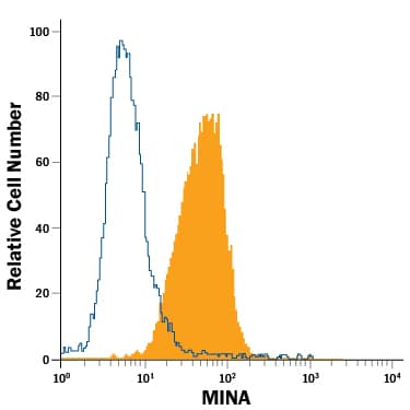 Jurkat human acute T cell leukemia cell line was stained with Mouse Anti-Human MINA Alexa Fluor® 488-conjugated Monoclonal Antibody (Catalog # IC7476G, filled histogram) or isotype control antibody (Catalog # IC002G, open histogram). To facilitate intracellular staining, cells were fixed with Flow Cytometry Fixation Buffer (Catalog # FC004) and permeabilized with Flow Cytometry Permeabilization/Wash Buffer I (Catalog # FC005). View our protocol for Staining Intracellular Molecules.