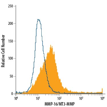 PC‑3 human prostate cancer cell line was stained with Mouse Anti-Human MMP‑16/MT3‑MMP Monoclonal Antibody (Catalog # MAB1785, filled histogram) or isotype control antibody (Catalog # MAB003, open histogram), followed by Phycoerythrin-conjugated Anti-Mouse IgG Secondary Antibody (Catalog # F0102B). 