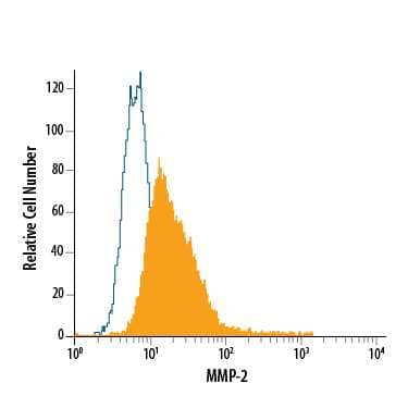 MG-63 human osteosarcoma cell line was stained with Mouse Anti-Human MMP-2 PE-conjugated Monoclonal Antibody (Catalog # IC9023P, filled histogram) or isotype control antibody (Catalog # IC003P, open histogram). To facilitate intracellular staining, cells were fixed with Flow Cytometry Fixation Buffer (Catalog # FC004) and permeabilized with Flow Cytometry Permeabilization/Wash Buffer I (Catalog # FC005). View our protocol for Staining Intracellular Molecules.