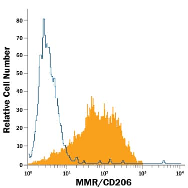 Human monocyte-derived immature dendritic cells were stained with Mouse Anti-Human MMR/CD206 Alexa Fluor® 488-conjugated Monoclonal Antibody (Catalog # FAB25342G, filled histogram) or isotype control antibody (Catalog # IC003G, open histogram). View our protocol for Staining Membrane-associated Proteins.