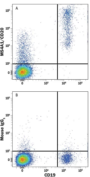 Human peripheral blood lymphocytes were stained with Mouse Anti-Human CD19 APC-conjugated Monoclonal Antibody (Catalog # FAB4867A) and either (A) Mouse Anti-Human MS4A1/CD20 PE-conjugated Monoclonal Antibody (Catalog # FAB4225P) or (B) Mouse IgG1Phycoerythrin Isotype Control (Catalog # IC002P). View our protocol for Staining Membrane-associated Proteins.