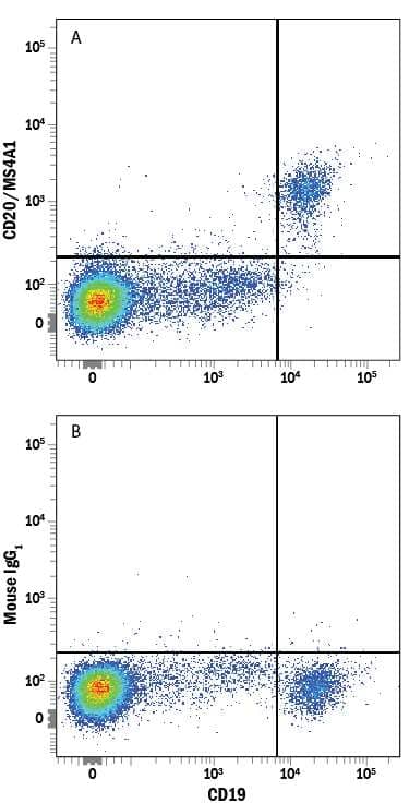 Human peripheral blood mononuclear cells (PBMCs) were stained with Mouse Anti-Human CD19 PE-conjugated Monoclonal Antibody (Catalog # FAB4867P) and either (A) Mouse Anti-Human MS4A1/CD20 Alexa Fluor® 405-conjugated Monoclonal Antibody (Catalog # FAB4225V) or (B) Mouse IgG1Alexa Fluor 405 Isotype Control (Catalog # IC002V). View our protocol for Staining Membrane-associated Proteins.