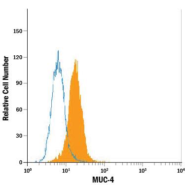 MCF-7 human breast cancer cell line was stained with Mouse Anti-Human MUC-4 APC-conjugated Monoclonal Antibody (Catalog # FAB8195A, filled histogram) or isotype control antibody (IC0041A, open histogram). View our protocol for Staining Membrane-associated Proteins.