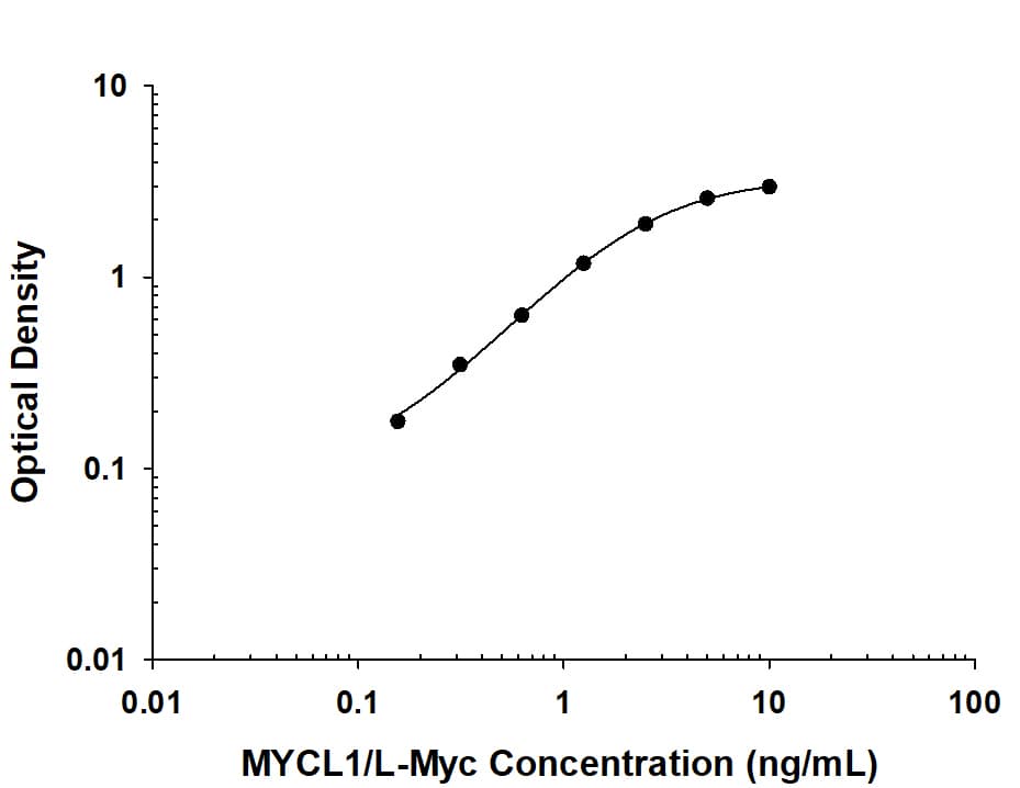 ELISA MYCL1/L-Myc Antibody (803017) [Unconjugated]