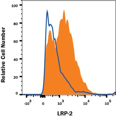 CaCo2 human cell line was stained with Mouse Anti-Human Megalin/LRP2 Monoclonal Antibody (Catalog # MAB9578, filled histogram) or isotype control antibody (Catalog # MAB002, open histogram), followed by Phycoerythrin-conjugated Anti-Mouse IgG Secondary Antibody (Catalog # F0102B). View our protocol for Staining Membrane-associated Proteins.