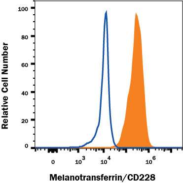A431 human epithelial carcinoma cell line was stained with Mouse Anti-Human Melanotransferrin/CD228 Alexa Fluor® 488-conjugated Monoclonal Antibody (Catalog # FAB81751G, filled histogram) or isotype control antibody (Catalog # IC002G, open histogram). View our protocol for Staining Membrane-associated Proteins.