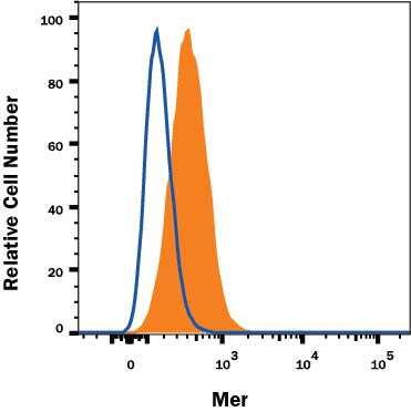 J774A.1 mouse reticulum cell sarcoma macrophage cell line was stained with Goat Anti-Mouse Mer Alexa Fluor® 647-conjugated Antigen Affinity-purified Polyclonal Antibody (Catalog # FAB591R, filled histogram) or isotype control antibody (Catalog # IC108R, open histogram). View our protocol for Staining Membrane-associated Proteins.