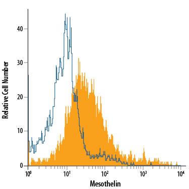 HeLa human cervical epithelial carcinoma cell line was stained with Rat Anti-Human Mesothelin Alexa Fluor® 700-conjugated Monoclonal Antibody (Catalog # FAB32652N, filled histogram) or isotype control antibody (Catalog # IC006N, open histogram). View our protocol for Staining Membrane-associated Proteins.