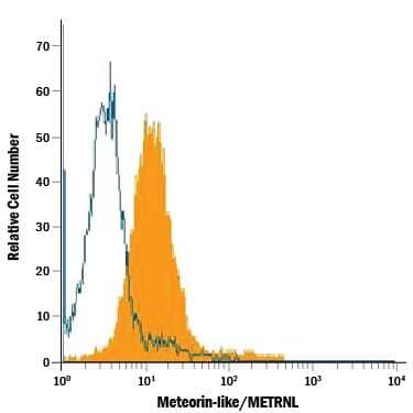 Neuro-2A mouse neuroblastoma cell line was stained with Rat Anti-Mouse Meteorin-like/METRNL APC-conjugated Monoclonal Antibody (Catalog # IC6679A, filled histogram) or isotype control antibody (Catalog # IC013A, open histogram). To facilitate intracellular staining, cells were fixed and permeabilized with FlowX FoxP3 Fixation & Permeabilization Buffer Kit (Catalog # FC012). View our protocol for Staining Intracellular Molecules.