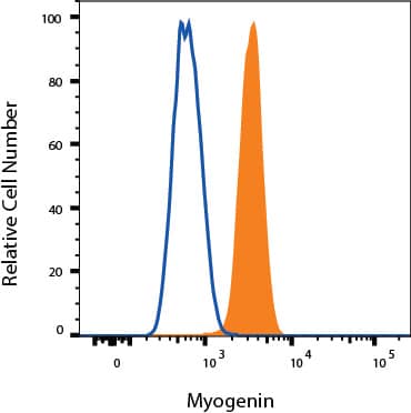 C2C12 cells were stained with Mouse Anti-Human/Mouse Myogenin Alexa Fluor® 488‑conjugated Monoclonal Antibody (Catalog # IC6686G, filled histogram) or isotype control antibody (Catalog # IC002G, open histogram). To facilitate intracellular staining, cells were fixed and permeabilized with FlowX FoxP3 Fixation & Permeabilization Buffer Kit (Catalog # FC012). View our protocol for Staining Intracellular Molecules.