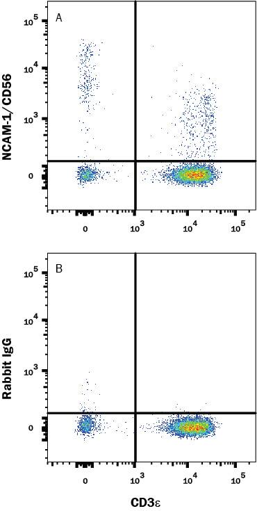 Human peripheral  blood lymphocytes were stained with Mouse Anti-Human CD3 epsilon APC-conjugated Monoclonal Antibody (Catalog # FAB100A)  and either (A) Rabbit Anti-Human NCAM-1/CD56 Biotinylated Monoclonal Antibody (Catalog # FAB24086B) or (B) Rabbit IgG Isotype Control (Catalog # MAB1050) followed by PE-conjugated streptavidin (Catalog # F0040). View our protocol for Staining Membrane-associated Proteins.                    
