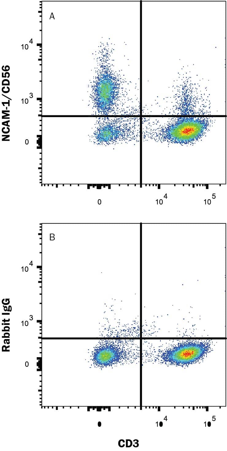 Human peripheral blood lymphocytes were stained with Mouse Anti-Human CD3 epsilon PE-conjugated Monoclonal Antibody (Catalog # FAB100P) and either (A) Rabbit Anti-Human NCAM-1/CD56 Alexa Fluor® 488-conjugated Monoclonal Antibody (Catalog # FAB24086G) or (B) Rabbit IgG Isotype Control (Catalog # IC1051G). View our protocol for Staining Membrane-associated Proteins.