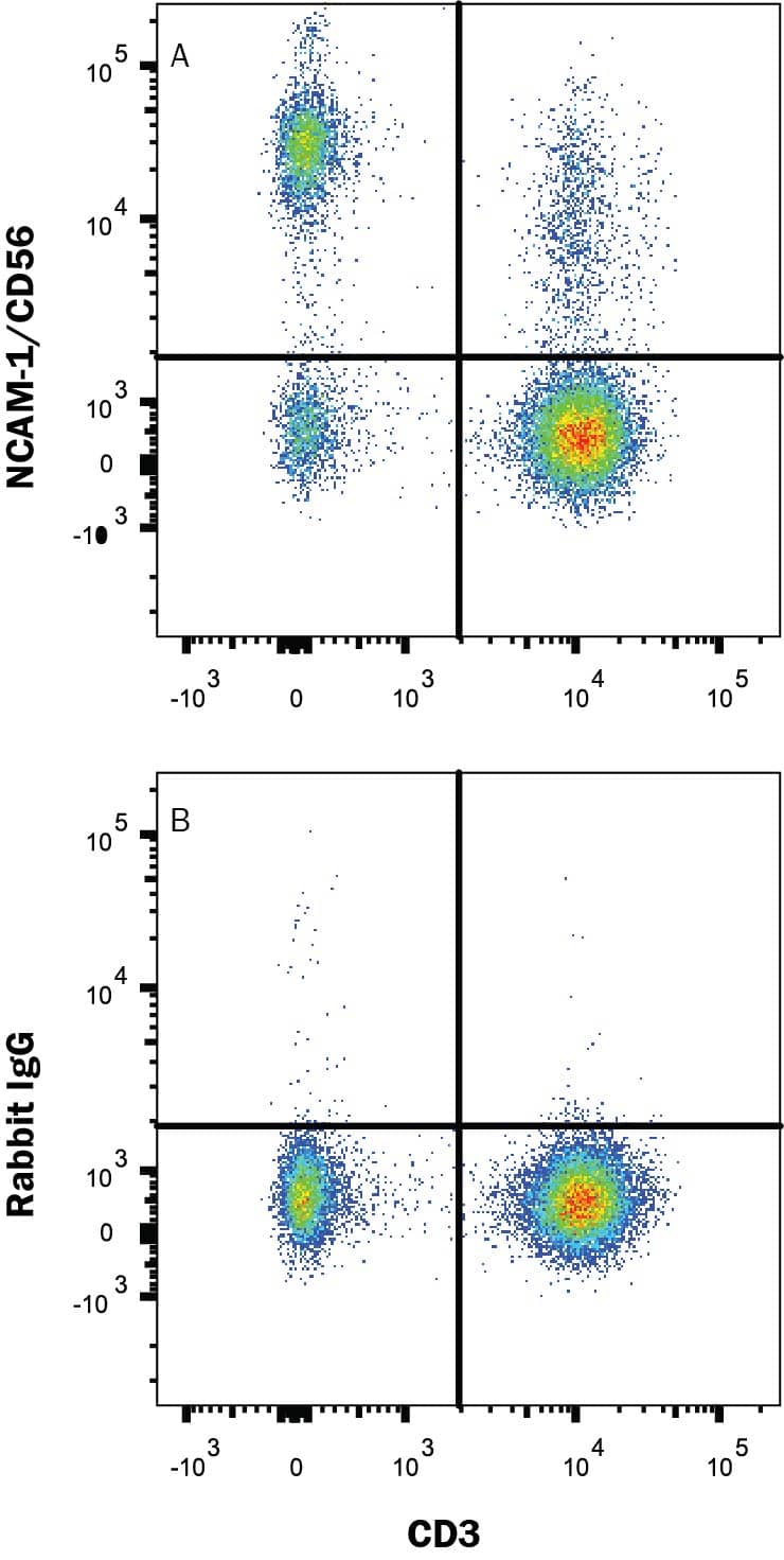 Human peripheral blood lymphocytes were stained with Mouse Anti-Human CD3 epsilon APC-conjugated Monoclonal Antibody (Catalog # FAB100A) and either (A) Rabbit Anti-Human NCAM-1/CD56 PE-conjugated Monoclonal Antibody (Catalog # FAB24086P) or (B) Rabbit IgG Isotype Control (Catalog # IC1051P). View our protocol for Staining Membrane-associated Proteins.