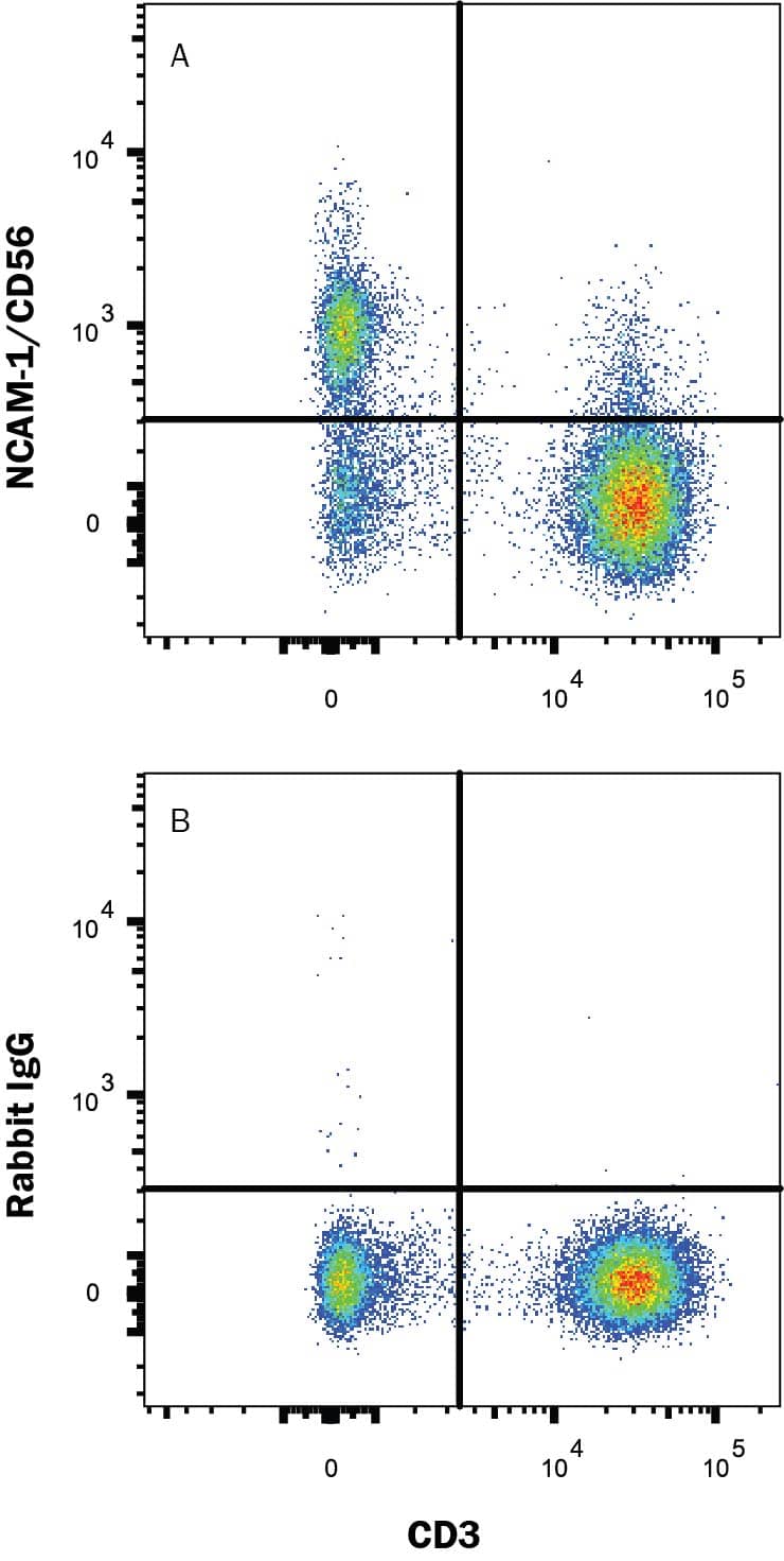Human peripheral blood lymphocytes were stained with Mouse Anti-Human CD3 epsilon PE-conjugated Monoclonal Antibody (Catalog # FAB100P) and either (A) Rabbit Anti-Human NCAM-1/CD56 Alexa Fluor® 647-conjugated Monoclonal Antibody (Catalog # FAB24086R) or (B) Rabbit IgG Isotype Control (Catalog # IC1051R). View our protocol for Staining Membrane-associated Proteins.