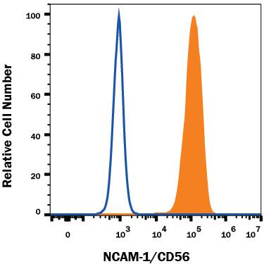 Neuro-2A mouse neuroblastoma cell line was stained with Rat Anti-Mouse NCAM-1/CD56 PE-conjugated Monoclonal Antibody (Catalog # FAB7820P, filled histogram) or isotype control antibody (Catalog # IC006P, open histogram). View our protocol for Staining Membrane-associated Proteins.