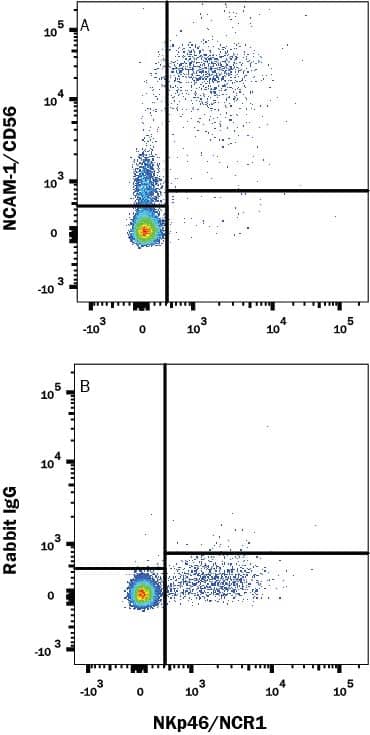 Human peripheral blood was stained with either (A) Rabbit Anti-Human NCAM-1/CD56 Monoclonal Antibody (Catalog # MAB24086) or (B) Rabbit IgG Isotype Control (Catalog # MAB1050) followed by Anti-Rabbit IgG APC-conjugated secondary antibody (Catalog # F0111) and Mouse Anti-Human NKp46 PE-conjugated Monoclonal Antibody (Catalog # FAB1850P). View our protocol for Staining Membrane-associated Proteins.