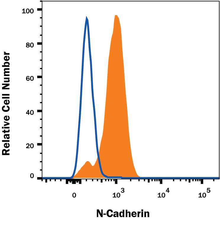 HeLa human cervical epithelial carcinoma cell line was stained with Sheep Anti-Human N-Cadherin APC-conjugated Antigen Affinity-purified Polyclonal Antibody (Catalog # FAB6426A, filled histogram) or isotype control antibody (Catalog # IC016A, open histogram). View our protocol for Staining Membrane-associated Proteins.
