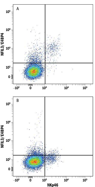 Intracellular Staining by Flow Cytometry NFIL3 Antibody (1218A) [Unconjugated]