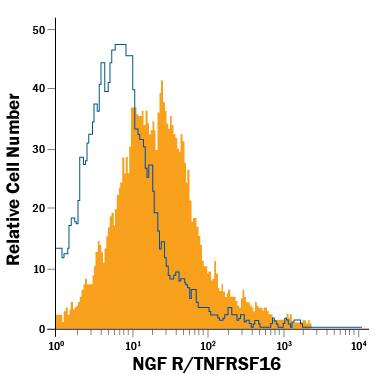 SH-SY5Y human neuroblastoma cell line was stained with Mouse Anti-Human NGF R/TNFRSF16 APC-conjugated Monoclonal Antibody (Catalog # FAB367A, filled histogram) or isotype control antibody (Catalog # IC002A, open histogram). View our protocol for Staining Membrane-associated Proteins.