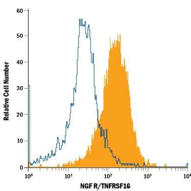 SH-SY5Y human neuroblastoma cell line was stained with Mouse Anti-Human NGF R/TNFRSF16 Alexa Fluor® 700-conjugated Monoclonal Antibody (Catalog # FAB367N, filled histogram) or isotype control antibody (Catalog # IC002N, open histogram). View our protocol for Staining Membrane-associated Proteins.