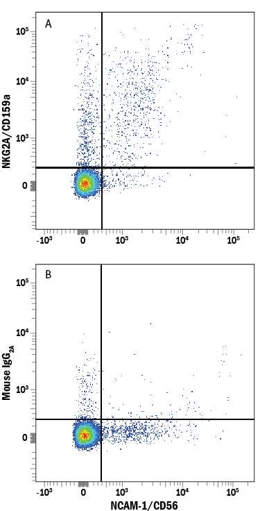 Human peripheral blood lymphocytes were stained with Mouse Anti-Human NCAM‑1/CD56 APC‑conjugated Monoclonal Antibody (Catalog # FAB2408A) and either (A) Mouse Anti-Human NKG2A/CD159a Biotinylated Monoclonal Antibody (Catalog # FAB1059B) or (B) Mouse IgG2A Biotinylated Isotype Control (Catalog # IC003B) followed by Streptavidin-Phycoerythrin (Catalog # F0040). 