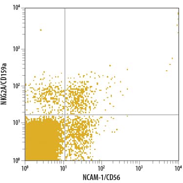 Human peripheral blood lymphocytes were stained with Mouse Anti-Human NKG2A/CD159a PerCP-conjugated Mono-clonal Antibody (Catalog # FAB1059C) and Mouse Anti-Human NCAM-1/CD56 PE-conjugated Mono-clonal Antibody (Catalog # FAB2408P). Quadrant markers were set based on isotype control antibody staining (Catalog # IC003C). View our protocol for Staining Membrane-associated Proteins.