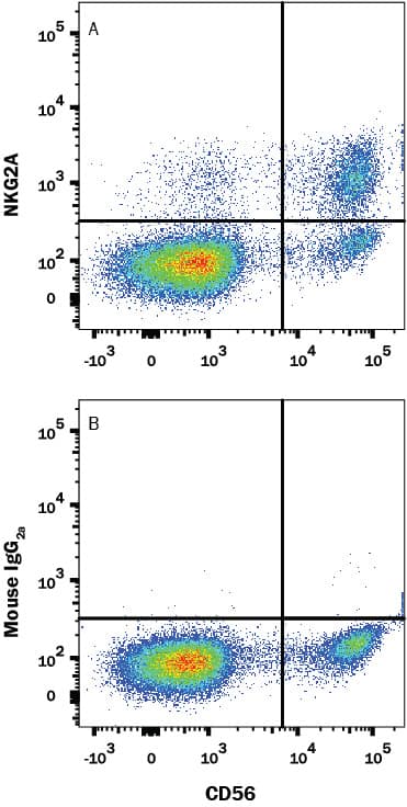 Human peripheral blood lymphocytes were stained with (A) Mouse Anti-Human NKG2A/CD159a Alexa Fluor® 488-conjugated Mono-clonal Antibody (Catalog # FAB1059G) or (B) isotype control antibody (Catalog # IC003G) and Mouse Anti-Human NCAM-1/CD56 PE-conjugated Monoclonal Antibody (Catalog # FAB2408P). View our protocol for Staining Membrane-associated Proteins.