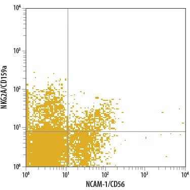 Human peripheral blood lymphocytes were stained with Mouse Anti-Human NKG2A/CD159a Alexa Fluor® 700-conjugated Mono-clonal Antibody (Catalog # FAB1059N) and Mouse Anti-Human NCAM-1/CD56 PE-conjugated Monoclonal Antibody (Catalog # FAB2408P). Quadrant markers were set based on isotype control antibody staining (Catalog # IC003N). View our protocol for Staining Membrane-associated Proteins.