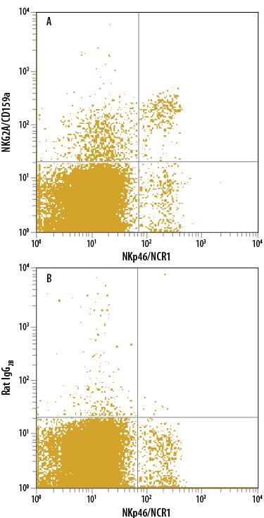 Mouse splenocytes were stained with Rat Anti-Mouse NKp46/NCR1 Alexa Fluor® 488-conjugated Monoclonal Antibody (Catalog # FAB22252G) and either (A) Rat Anti-Mouse NKG2A/CD159a APC-conjugated Monoclonal Antibody (Catalog # FAB6867A) or (B) Rat IgG2BAllophycocyanin Isotype Control (Catalog # IC013A). View our protocol for Staining Membrane-associated Proteins.