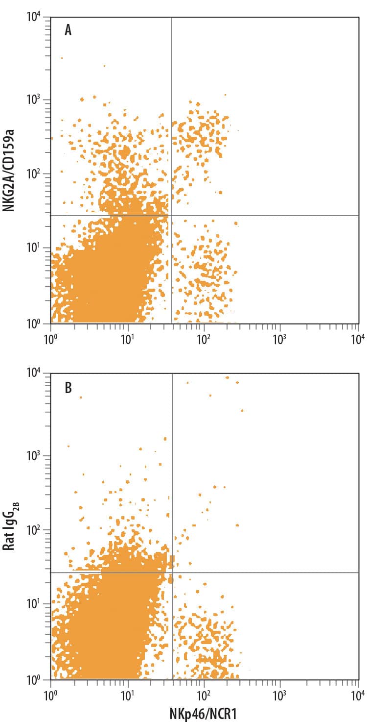 Mouse splenocytes were stained with Rat Anti-Mouse NKp46/NCR1 Alexa Fluor® 488-conjugated Monoclonal Antibody (Catalog # FAB22252G) and either (A) Rat Anti-Mouse NKG2A/CD159a PE-conjugated Monoclonal Antibody (Catalog # FAB6867P) or (B) Rat IgG2BPhycoerythrin Isotype Control (Catalog # IC013P). View our protocol for Staining Membrane-associated Proteins.