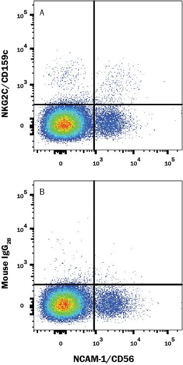 Human peripheral blood lymphocytes were stained with Mouse Anti-Human NCAM-1/CD56 PE-conjugated Monoclonal Antibody (Catalog # FAB2408P) and either (A) Alexa Fluor® 700-conjugated Mouse Anti-Human NKG2C/CD159c Monoclonal Antibody (Catalog # FAB1381N) or (B) Mouse IgG2B Flow Cytometry Isotype Control (Catalog # IC0041N). View our protocol for Staining Membrane-associated Proteins.